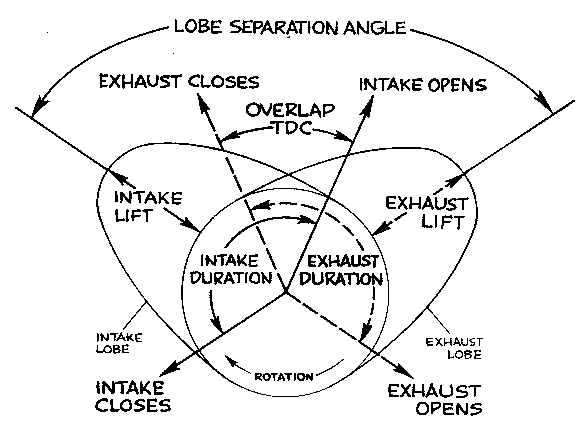 Two Lobes