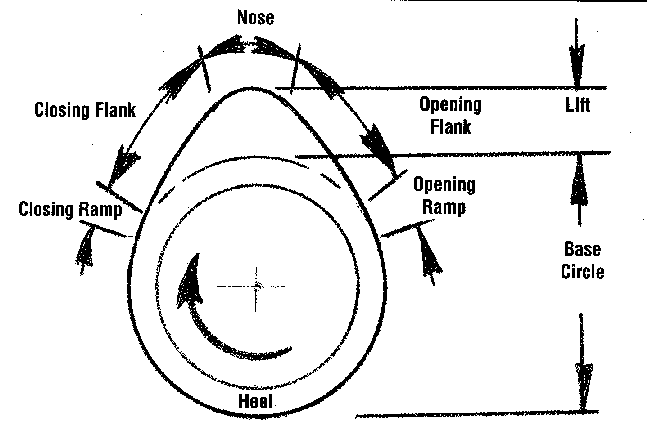 Single Lobe