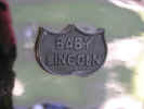 Emblem1.JPG (261001 bytes)